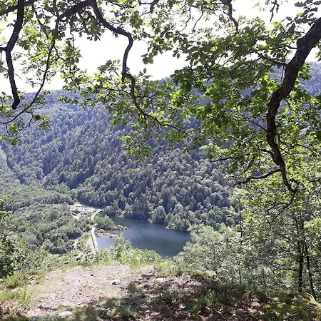 Au Repos Du Faye
